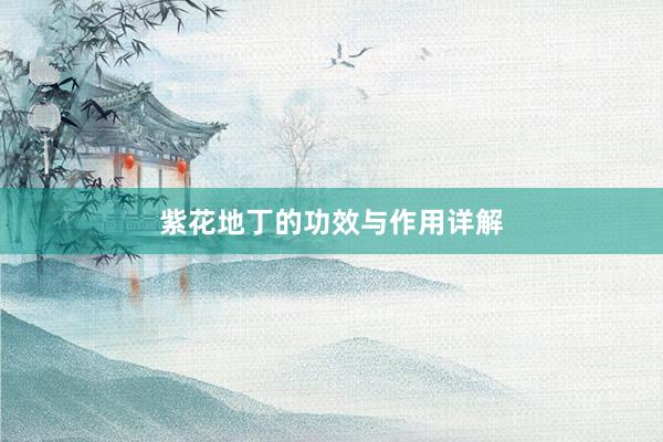 紫花地丁的功效与作用详解